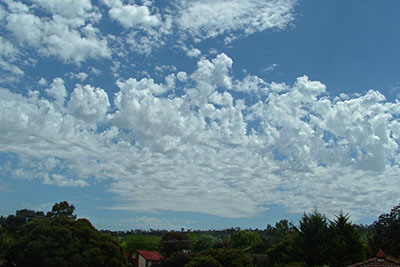 Altocumulus